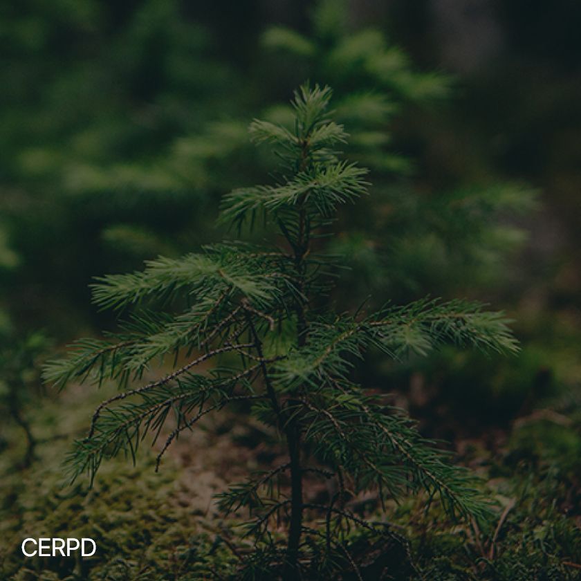 cerpd